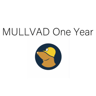 MULLVAD VPN １年